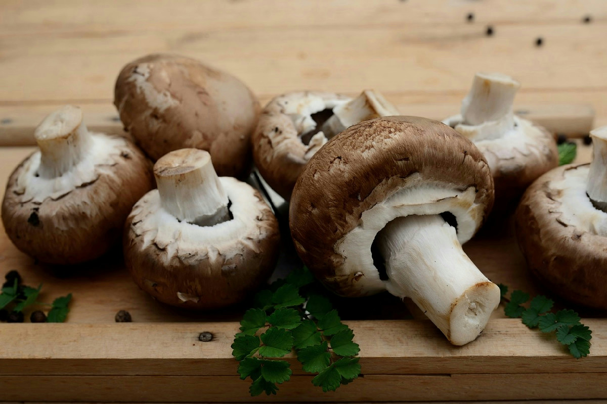 Anche tu fai questa azione con i funghi? Stai sbagliando tutto, rischi di buttarli via