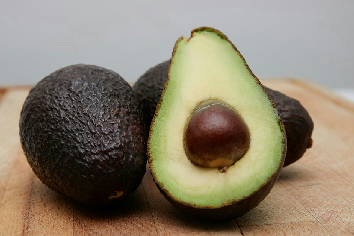 Avocado in giardino che non dà frutti? Ecco la tecnica poco nota per raccogliere finalmente i tuoi