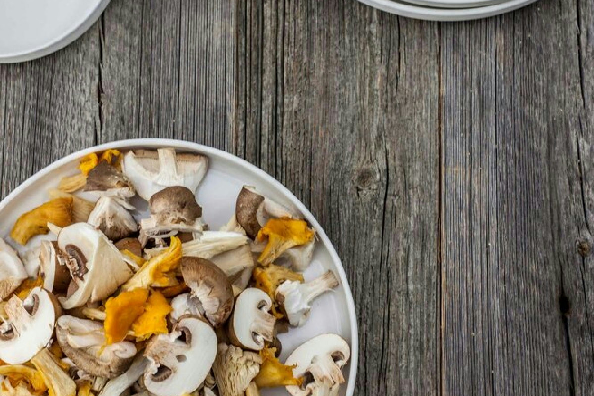 Funghi freschi in cucina: le ricette autunnali e i trucchi che valorizzano ogni raccolto