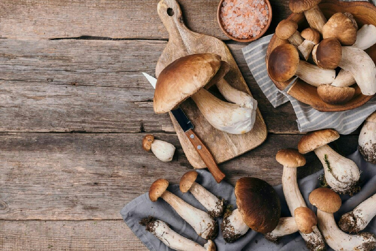 Funghi fuori dal comune: le varietà scenografiche che puoi coltivare senza fatica anche a casa