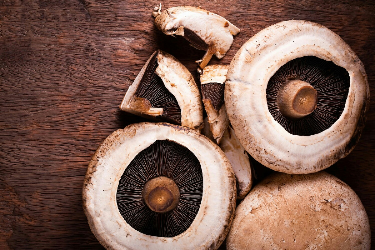 Funghi portobello protagonisti d’autunno: la ricetta veloce che esalta il gusto a tavola