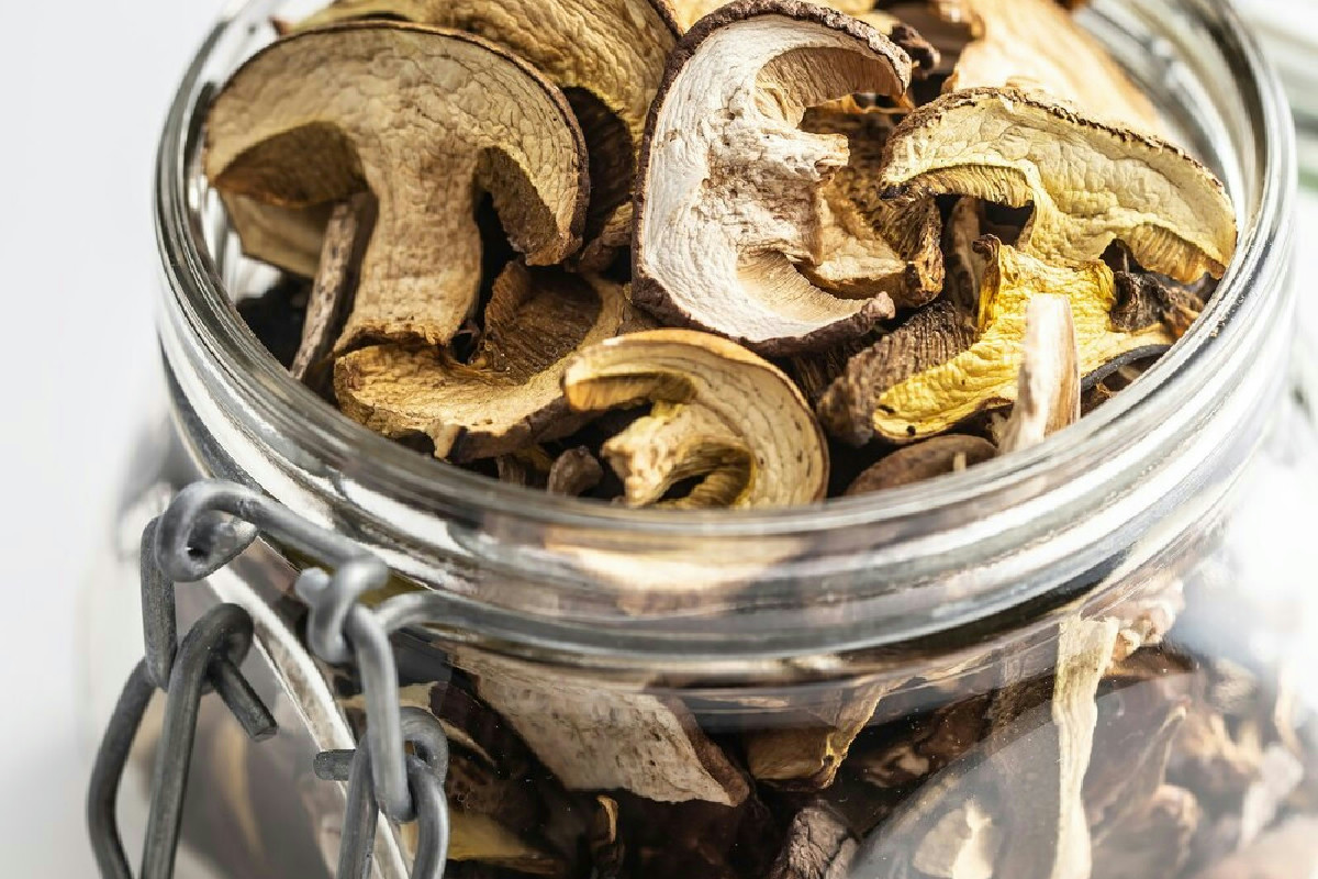 Funghi secchi in cucina: tecniche degli chef e idee sfiziose per primi piatti e contorni gourmet