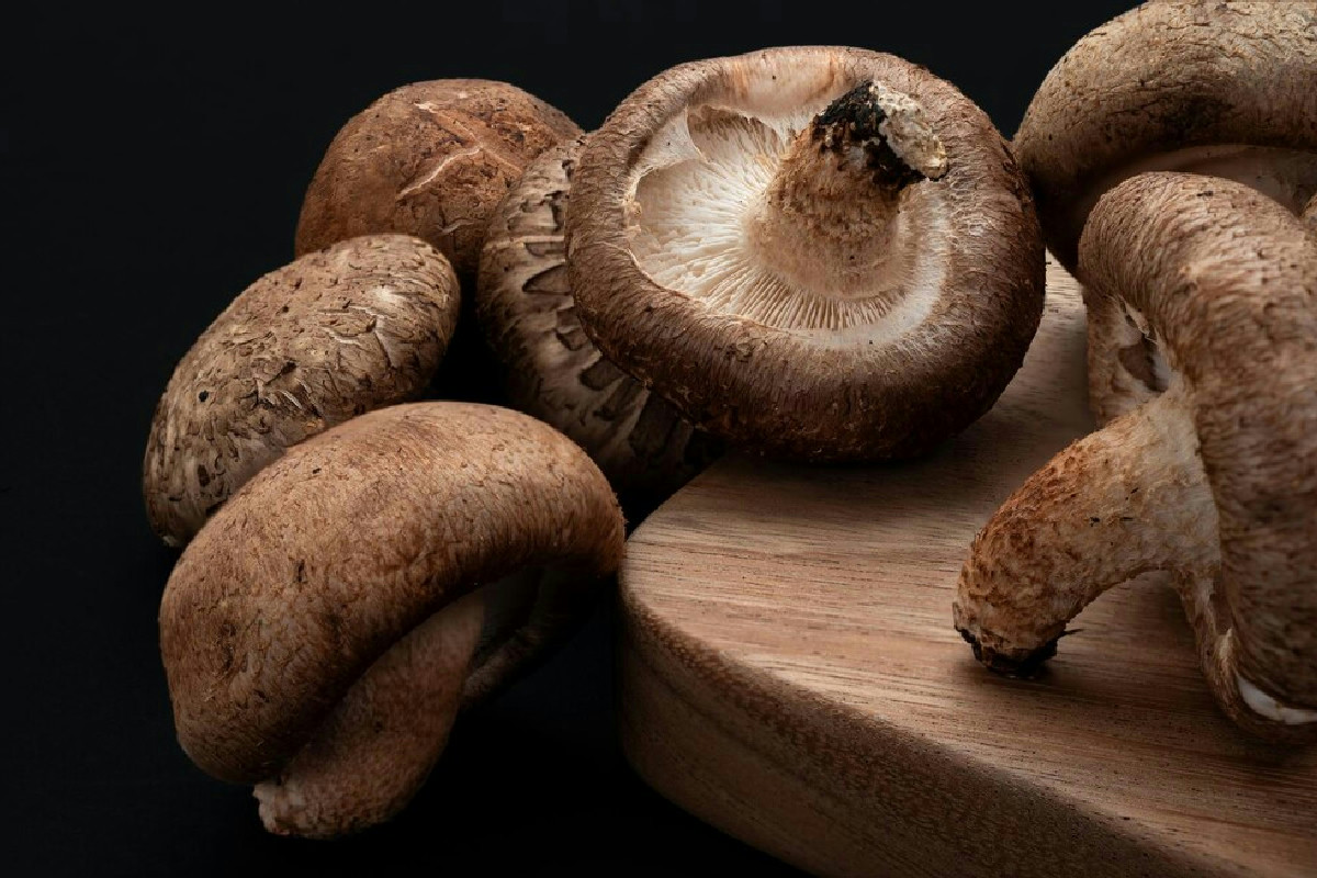 Dai funghi shiitake nasce la prima memoria vivente: la grande rivoluzione verde dell’informatica