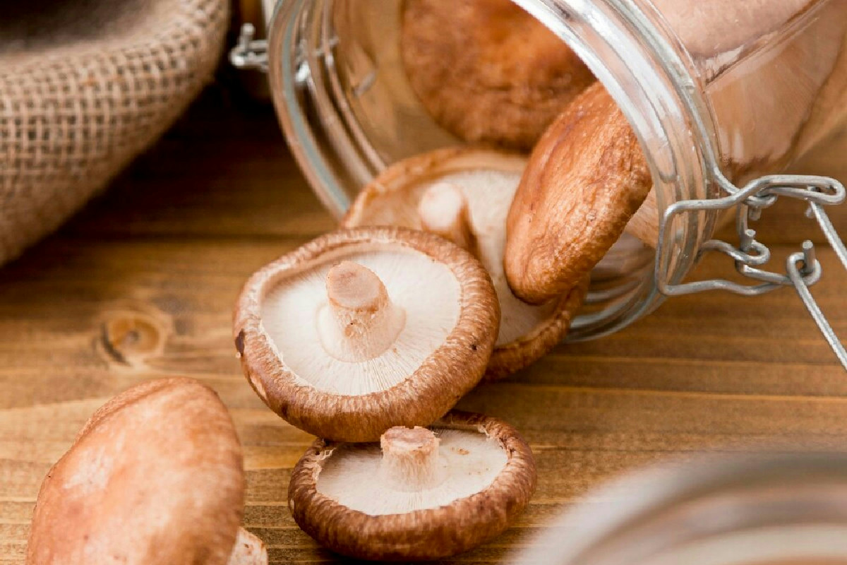 Funghi sott’olio, 7 idee sfiziose: antipasti, bruschette e abbinamenti perfetti per ogni tavola