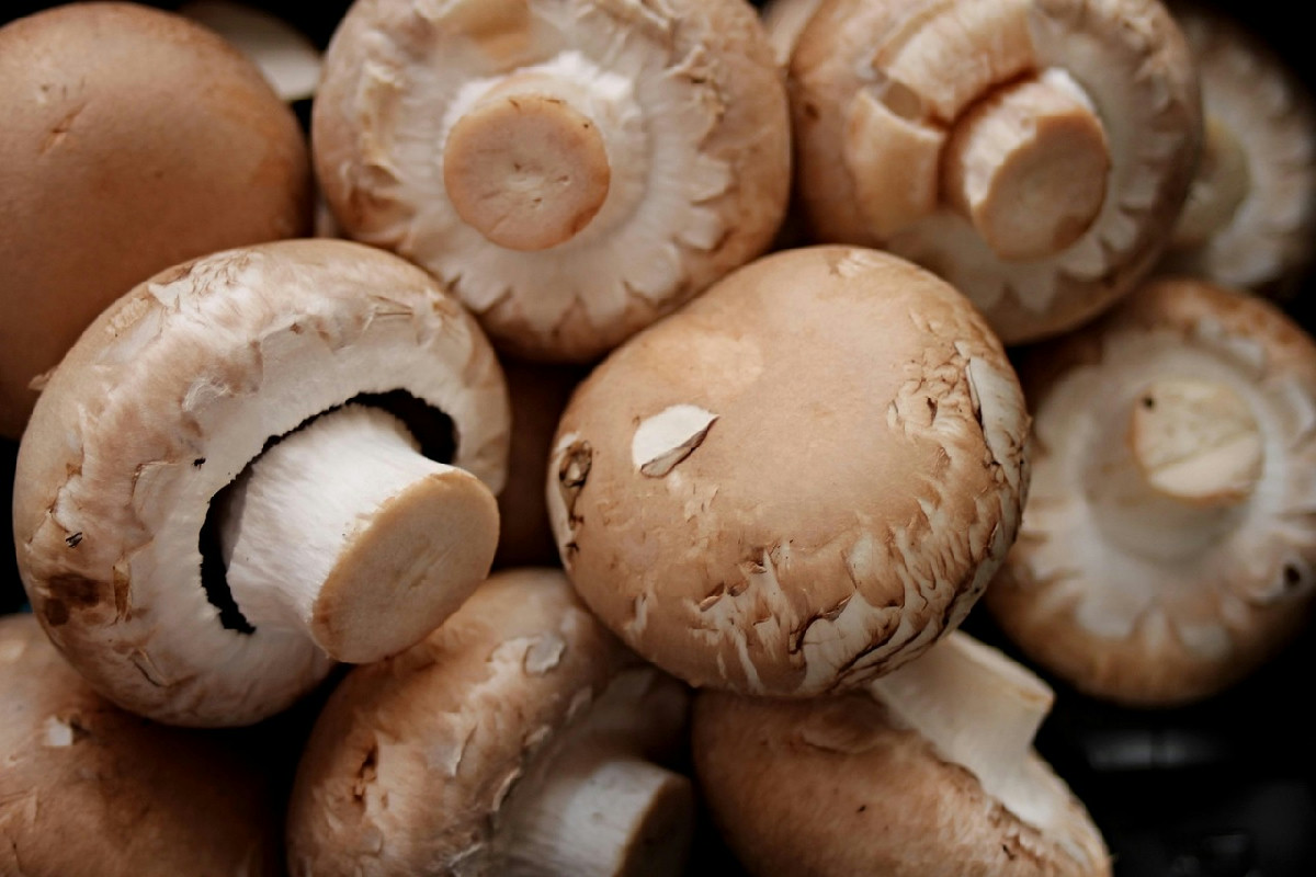 Non buttare i gambi dei funghi: ecco 5 idee riciclo per trasformarli in piatti da provare
