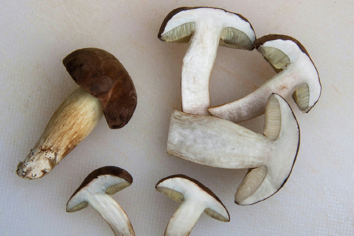 Non lavare mai più i funghi così: è l’errore peggiore secondo gli chef