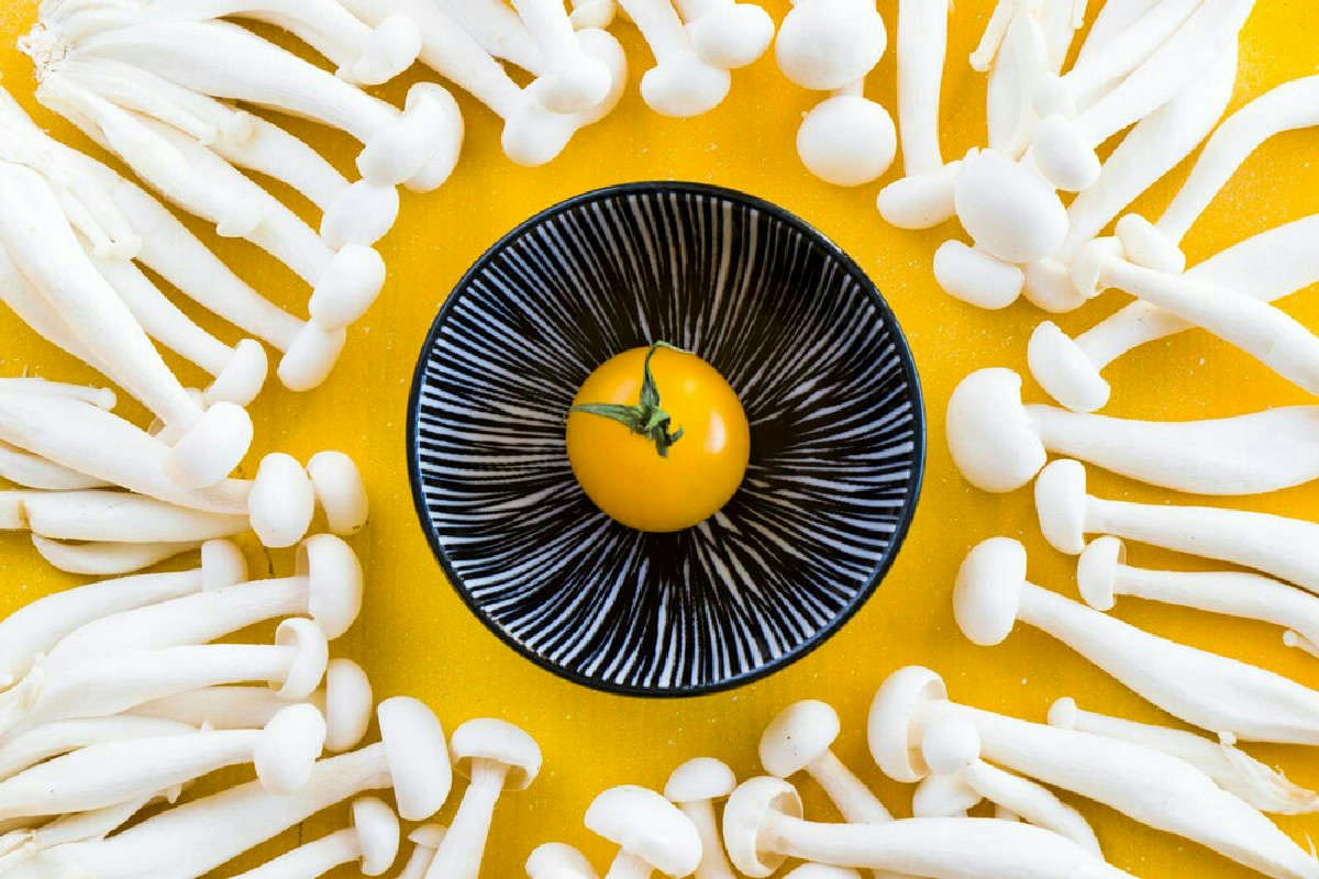 Quando la natura replica se stessa: perché due specie di funghi diversi creano la stessa psilocibina