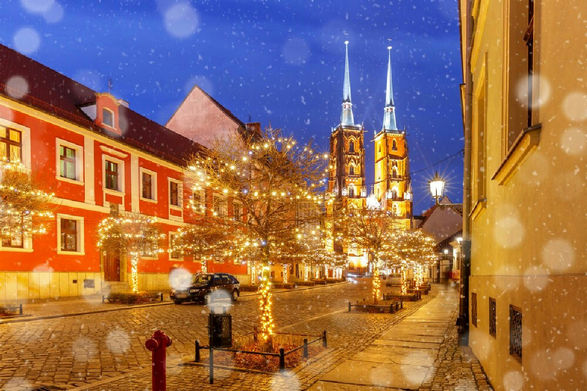 A Tallinn si celebra Natale attorno all’albero più longevo del pianeta: storia di 700 anni