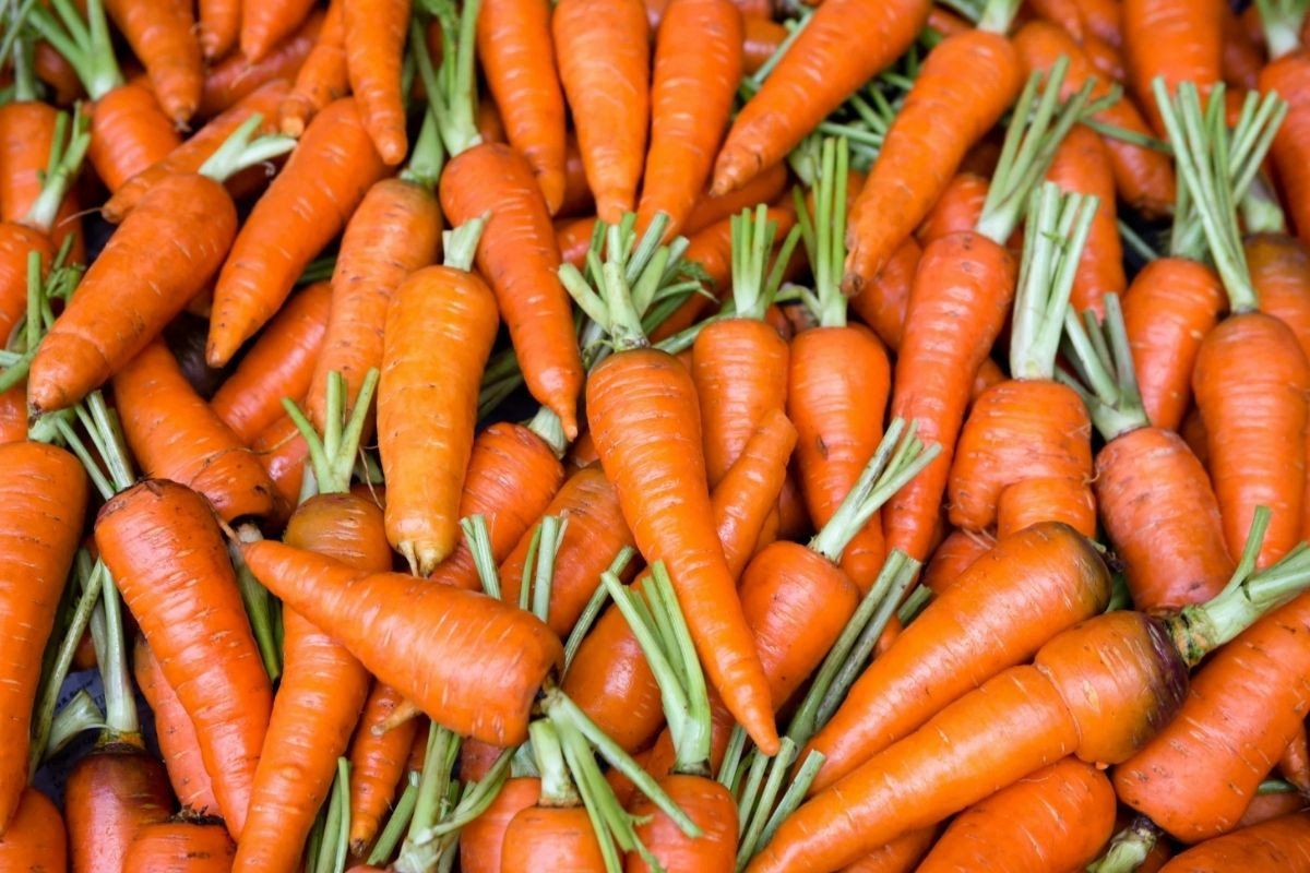 Ti capita di trovare le carote molli in frigo? Con questo metodo tornano fresche e croccanti