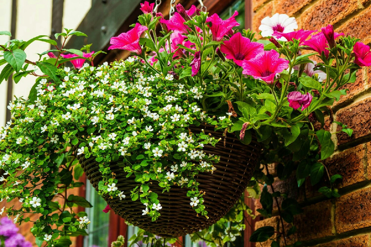 5 strategie efficaci per mantenere fiori freschi e vibranti nelle composizioni d’interno più a lungo