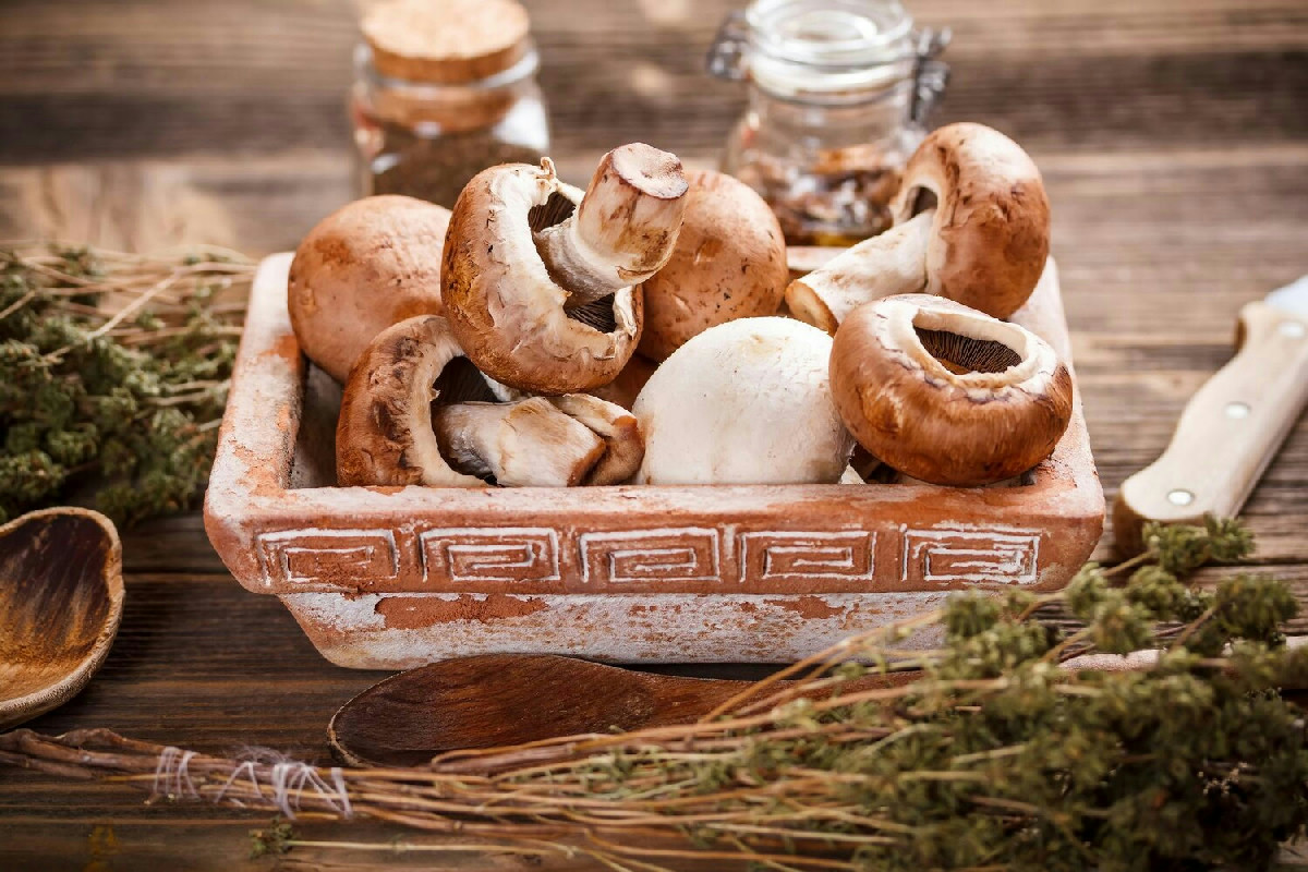 Funghi: la nuova sfida degli agricoltori italiani, produzione boom e consumi record in Europa