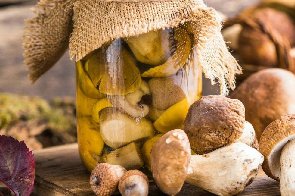Funghi porcini sott’olio: come conservare la bontà autunnale per arricchire ogni piatto