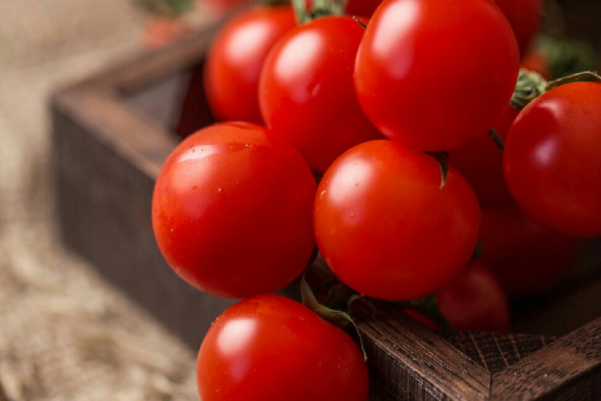 Mantenere il raccolto di pomodori pronto in tempi record senza rinunciare al sapore pieno e intenso