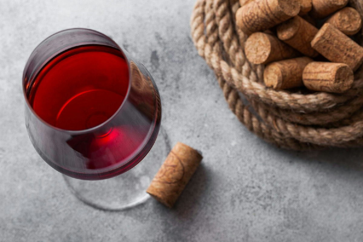 Non immagini cosa regala questo rosso del Priorat: il vino che trasforma i tuoi dopocena