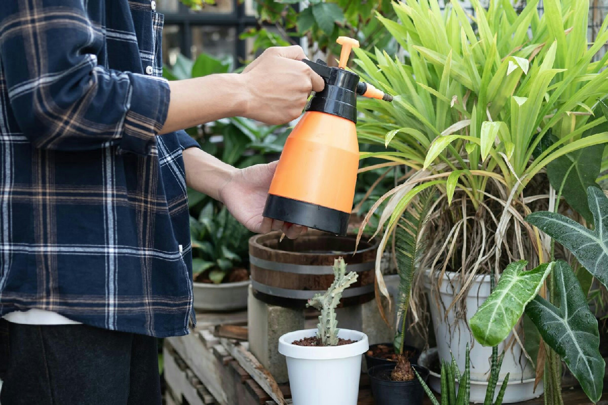 Non puoi sempre curarle? Ecco come auto innaffiare le piante e non rischiare mai più danni