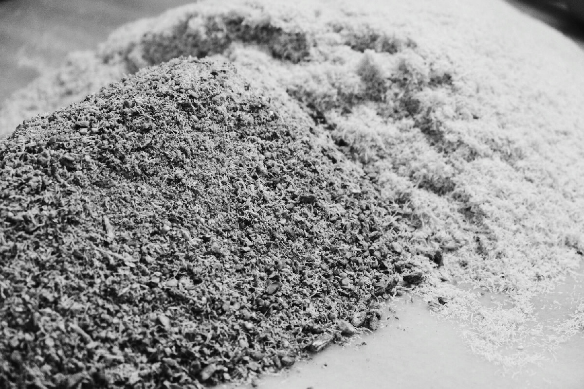 Perché la cenere migliora la crescita di zucchine rigogliose e sane negli orti domestici