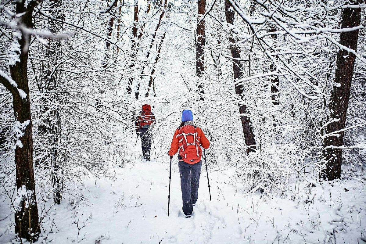 Perché molti camminatori sottovalutano pericoli nascosti della montagna innevata?