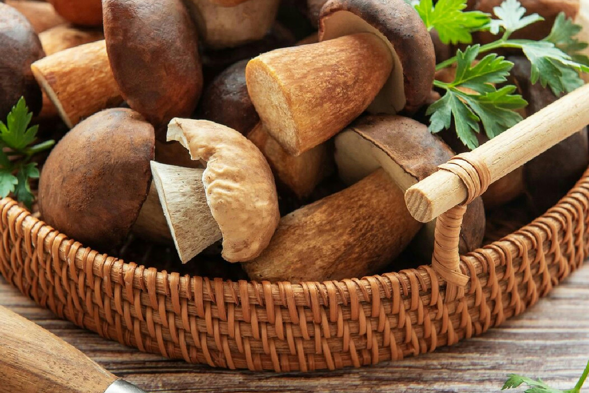 Perché la morbidezza del pollo e il profumo dei funghi rendono speciale questo secondo cremoso?