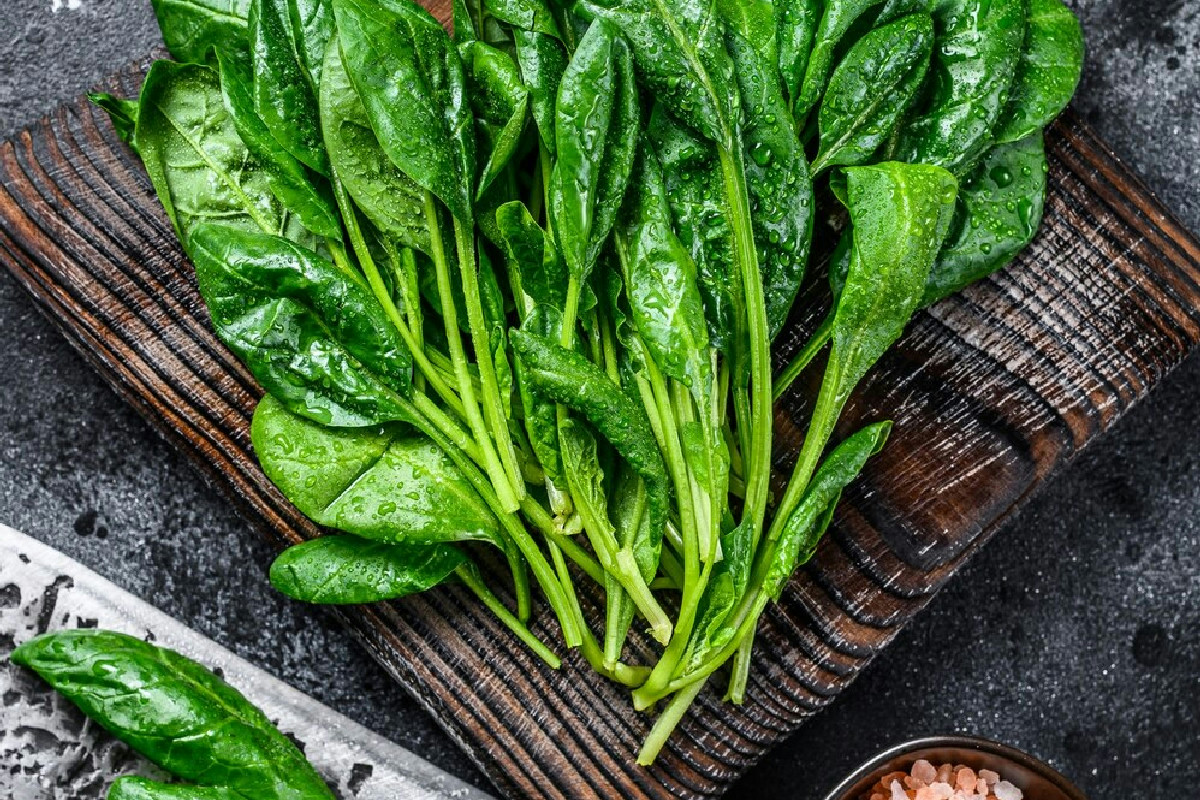 Perché gli spinaci dominano in cucina: storia, sapori e segreti da scoprire ogni giorno
