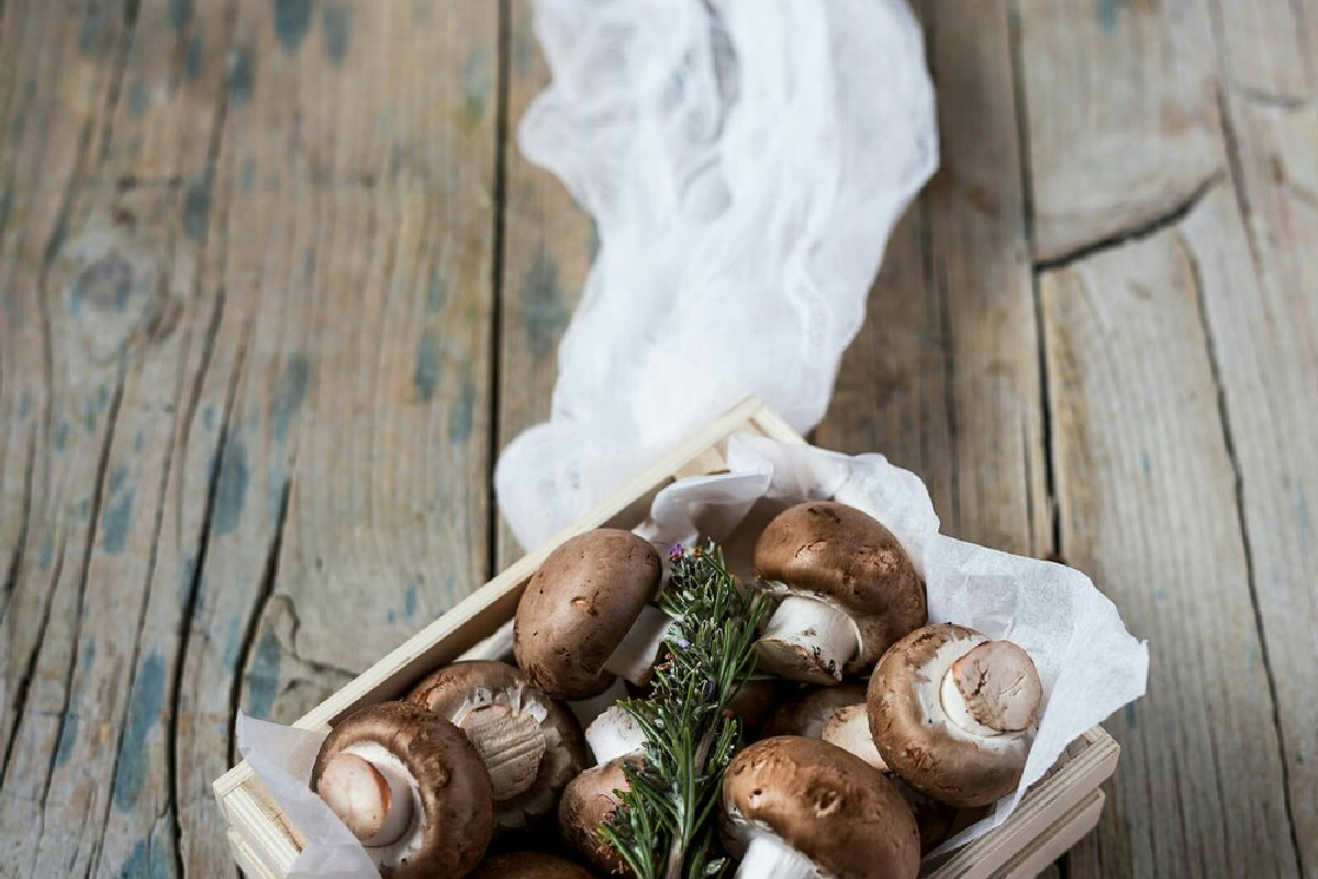 Polpette di ricotta e funghi, la cremosità che rende l’autunno un’esperienza di gusto da scoprire