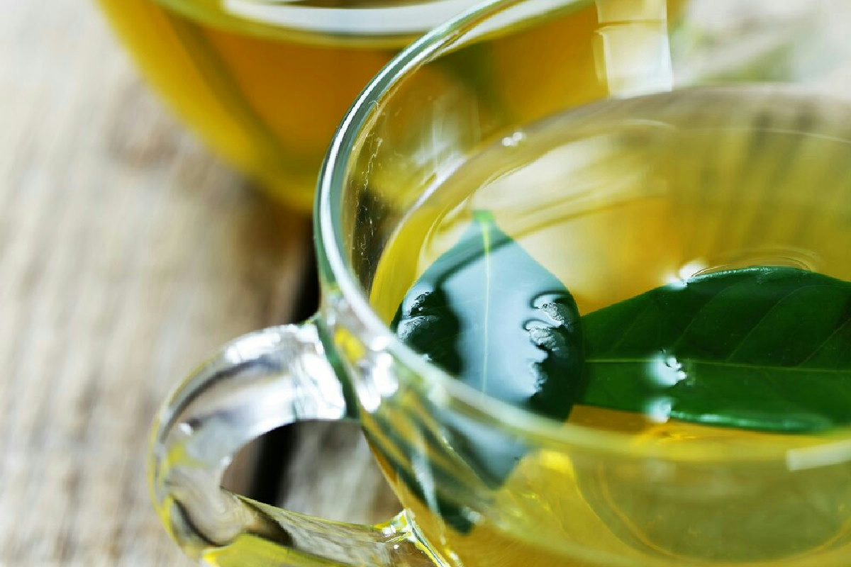 Preparare il tè verde per favorire la crescita rigogliosa delle piante: guida completa e consigli utili