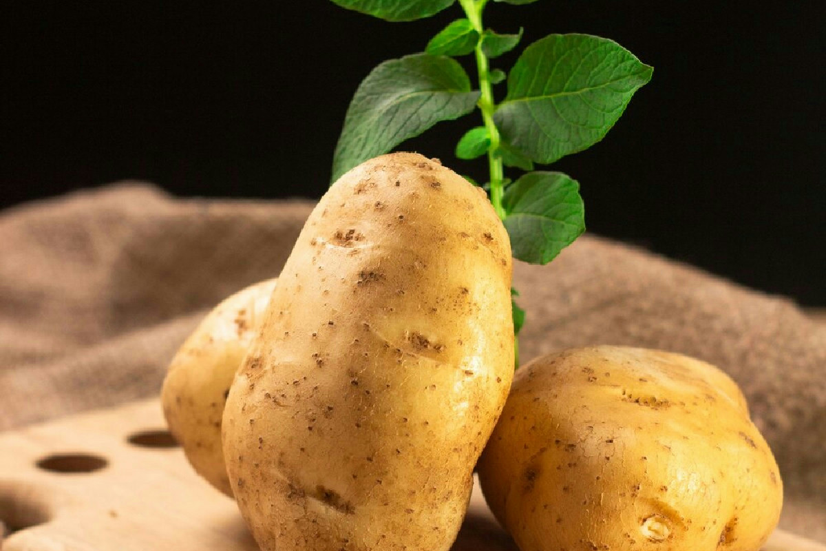 Quando la tradizione si rinnova con lenticchie e pasta in un piatto autentico da gustare