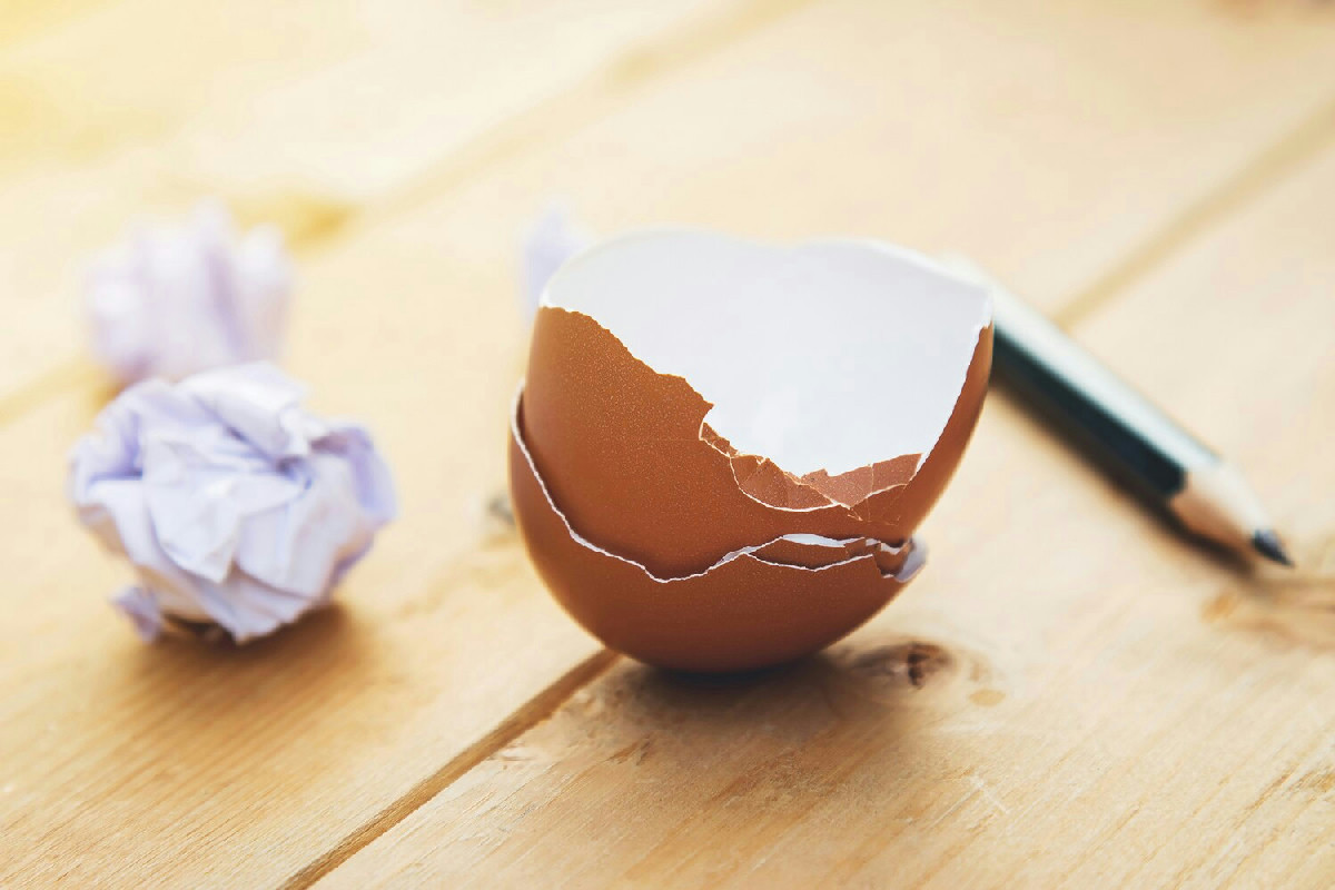 Sai cosa fanno davvero gli uccelli per sopravvivere quando arriva il freddo intenso?