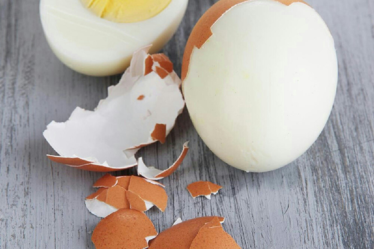 Sai cosa fanno davvero gli uccelli per sopravvivere quando arriva il freddo intenso?