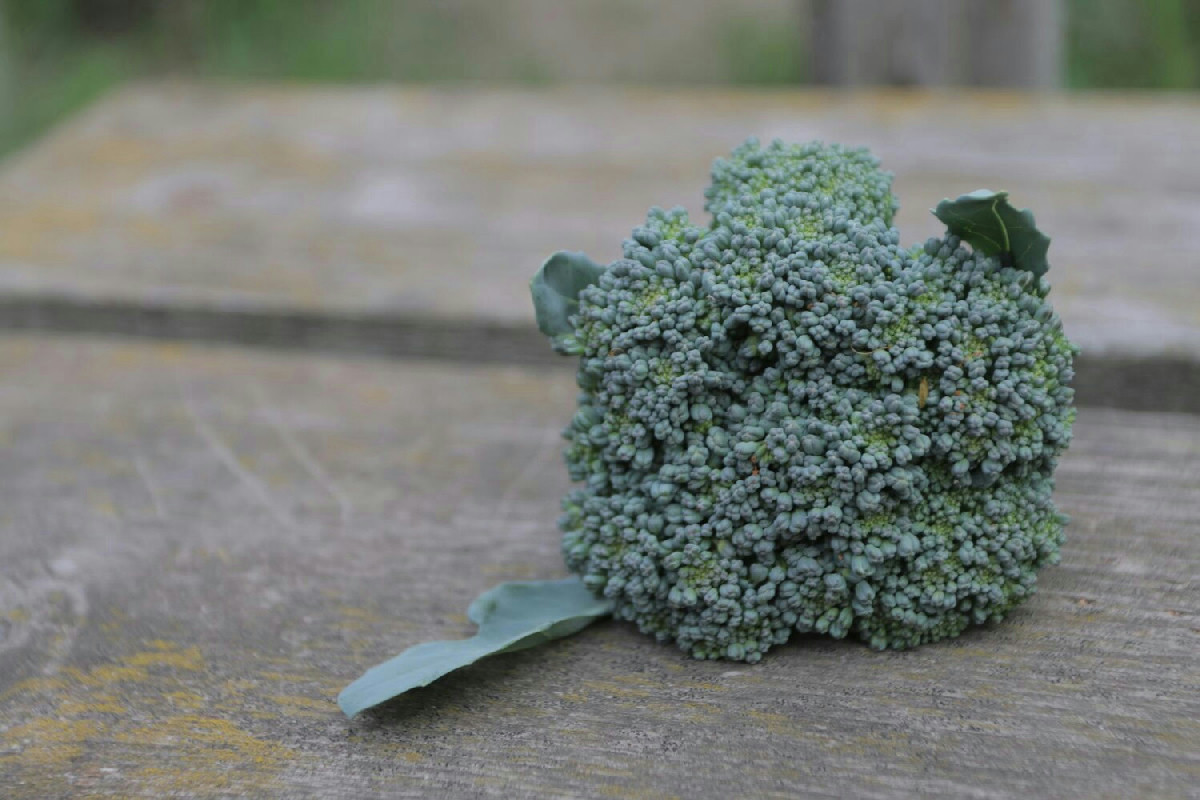 Sai cosa succede se abbini cavolo riccio, uvetta e noci alla dieta?