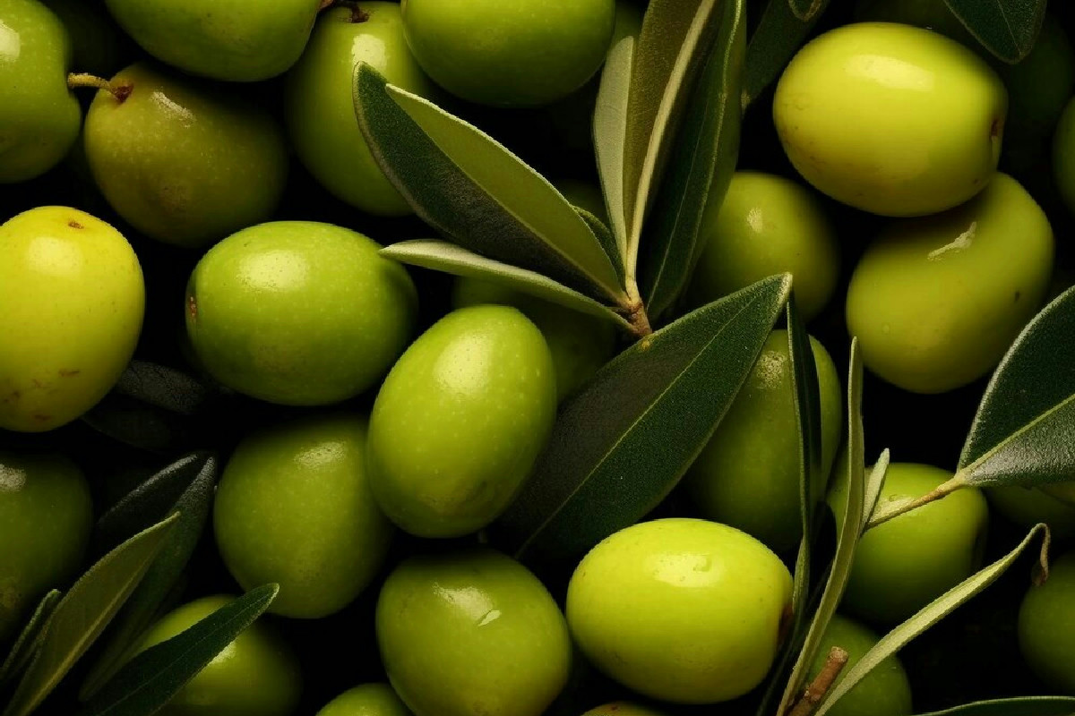 La scelta giusta delle olive a tavola che rivoluzionerà il modo di gustarle nel 2025