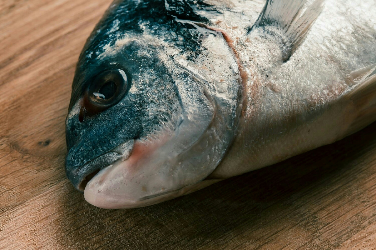 Scopri l’orata alla mediterranea perfetta per chi ama i sapori freschi e leggeri del mare