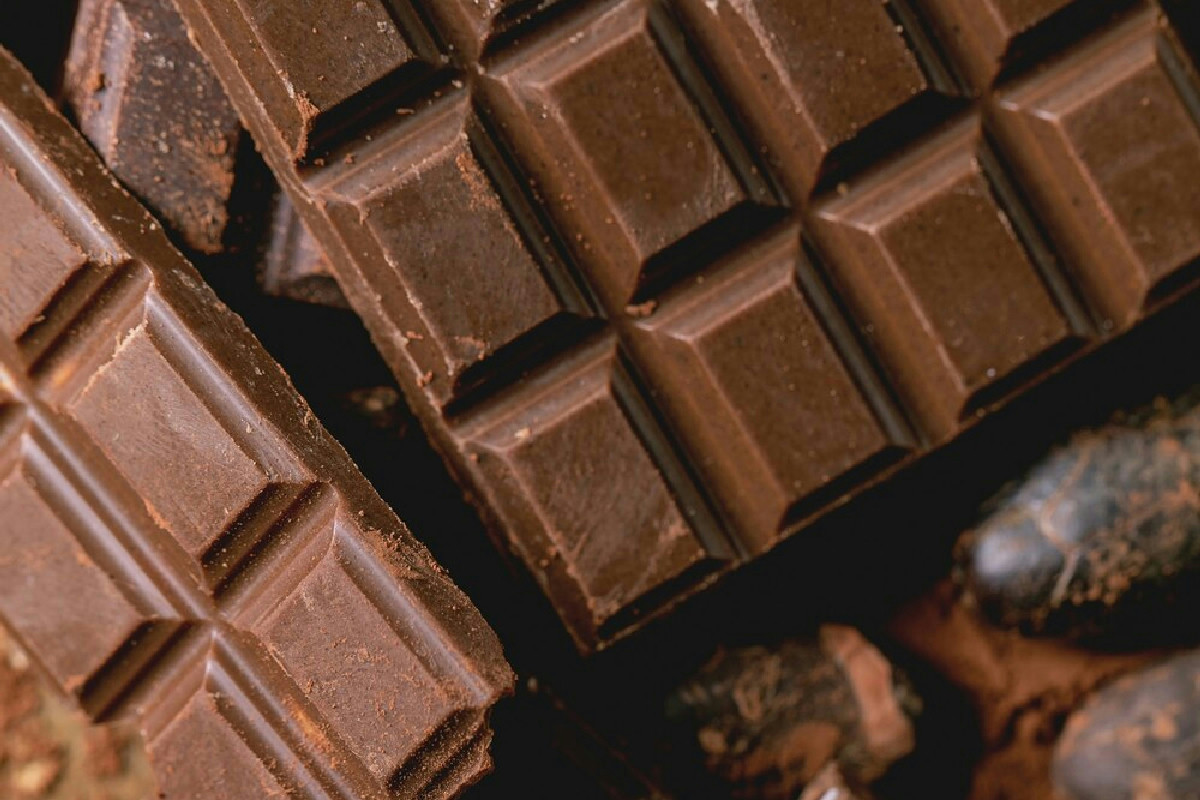 Scopri il magico panettone decorato come una foresta di cioccolato per un Natale da sogno