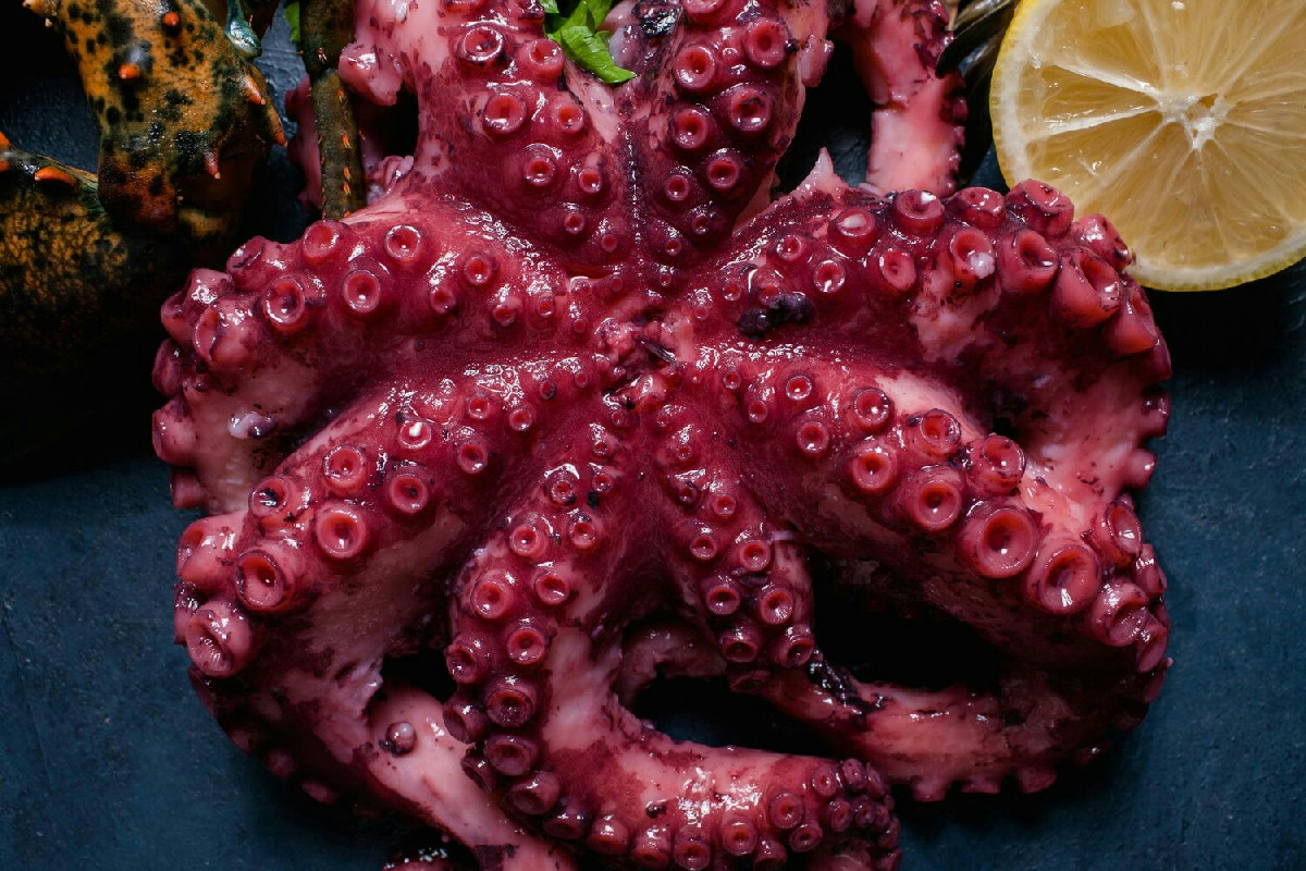 Il segreto per un’insalata di polpo tenera con crema vellutata di patate perfetta