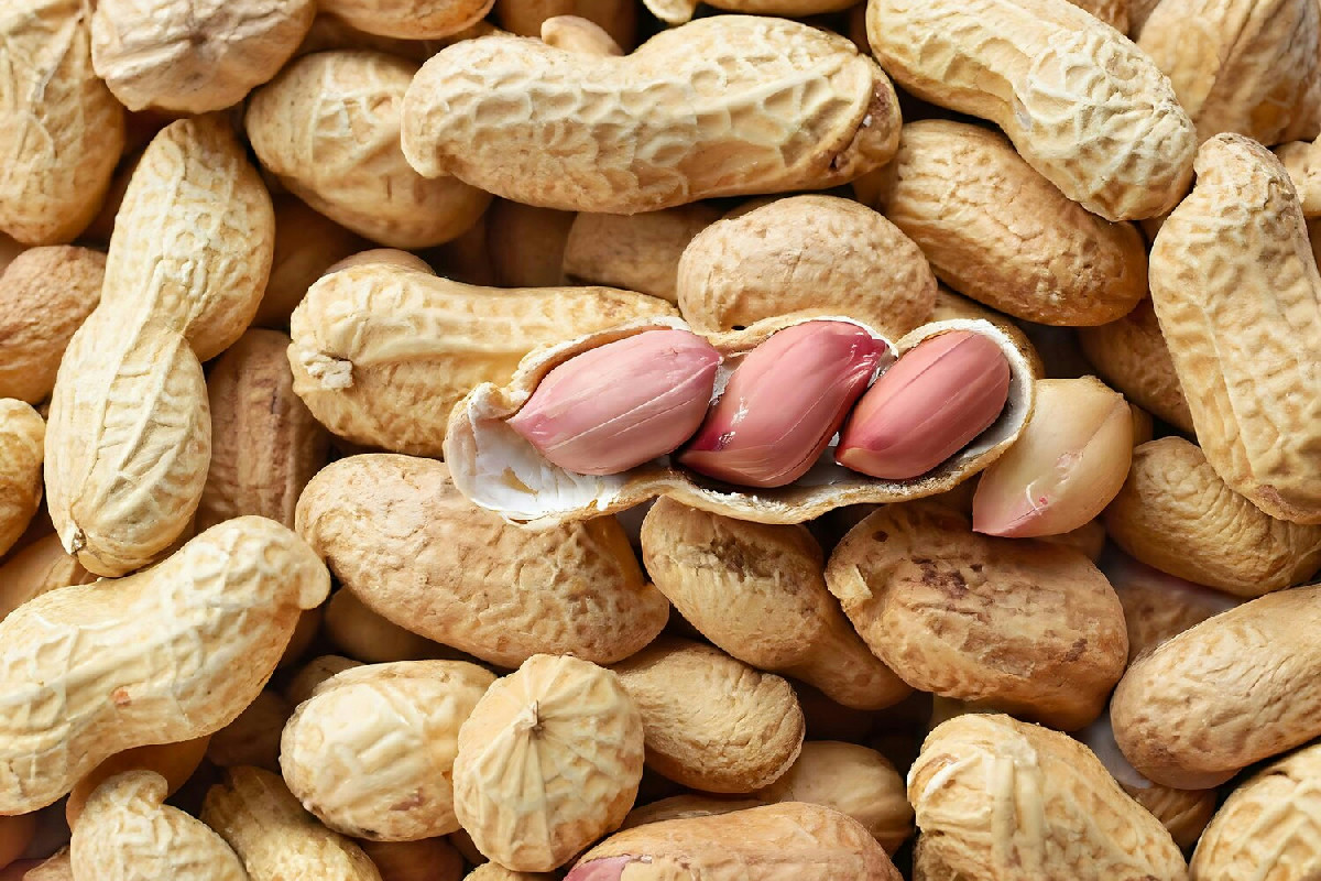 Un semplice gesto nel giardino fa crescere le arachidi senza fatica e moltiplica il raccolto in modo sorprendente