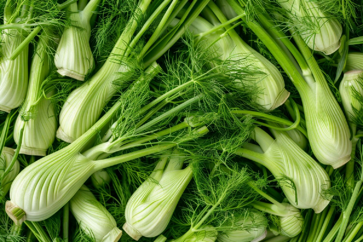 1️⃣ Quali verdure crescono sul banco fresco durante i mesi più freddi dell’anno