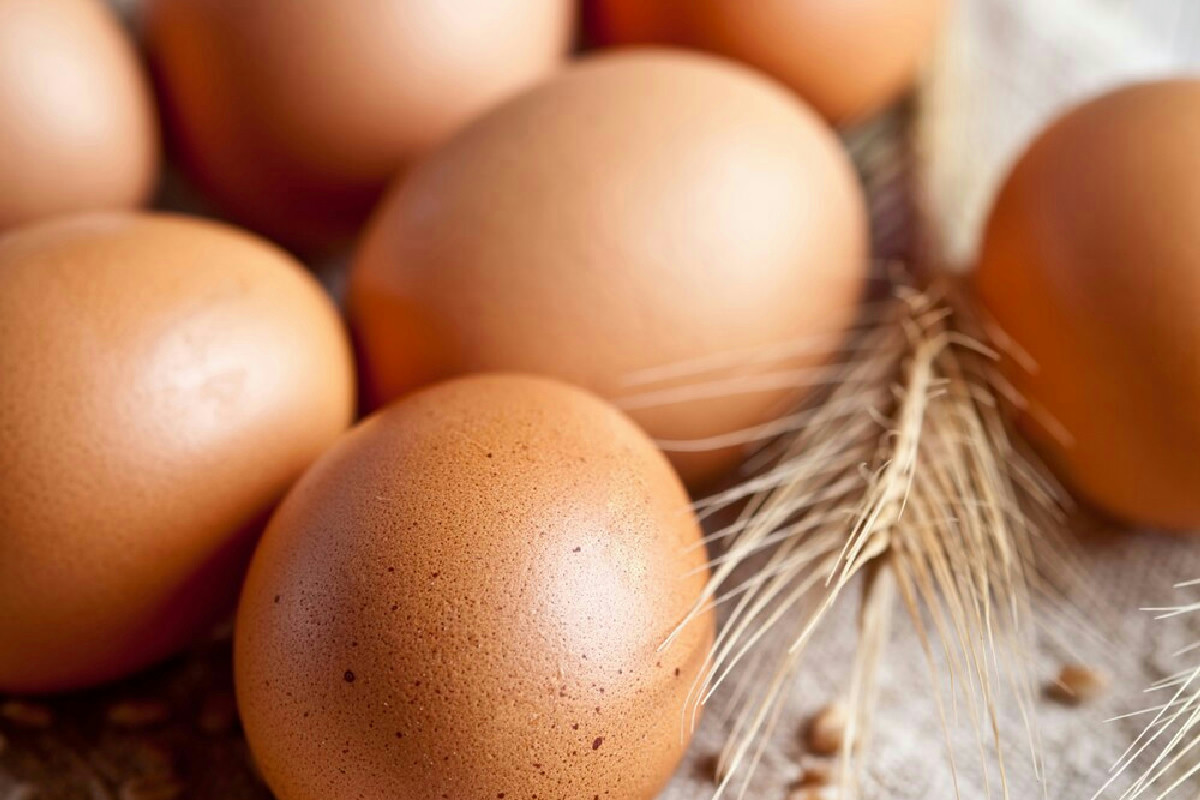 35 Ricette sfiziose e rapide con le uova per serate gourmet perfette a casa per tutti i palati