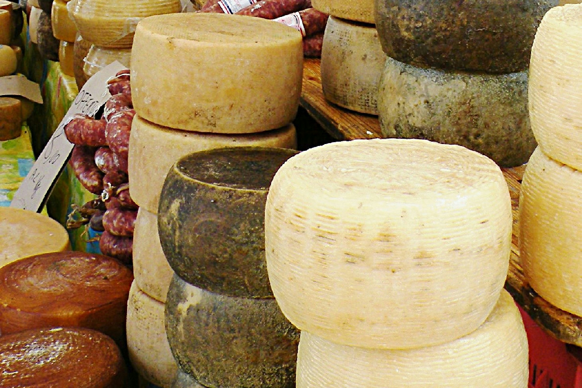 Alternative vegetali al formaggio: sapori e cremosità per un palato raffinato e autentico