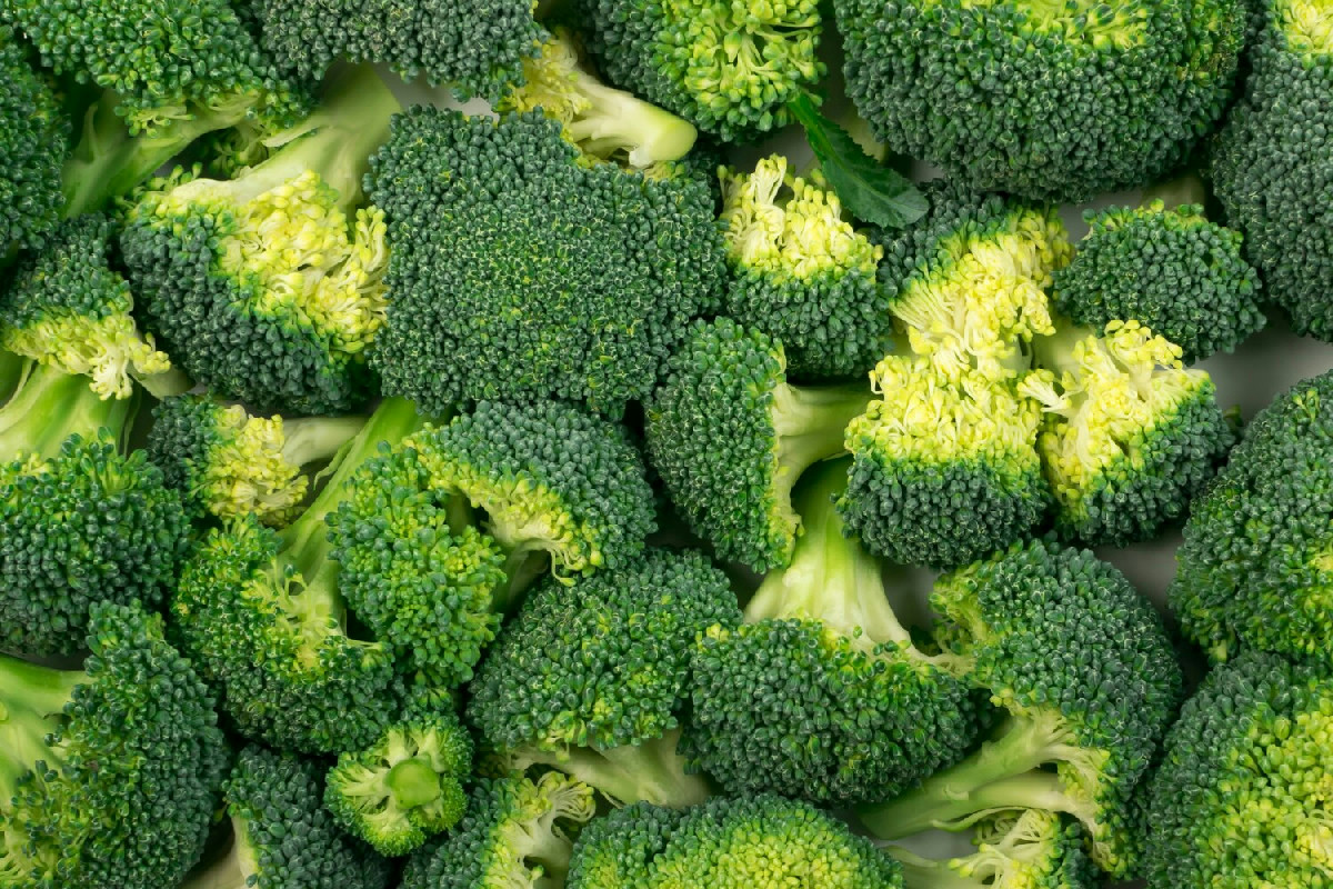 Broccoli in tavola: perché includerli per migliorare il benessere e le capacità cognitive