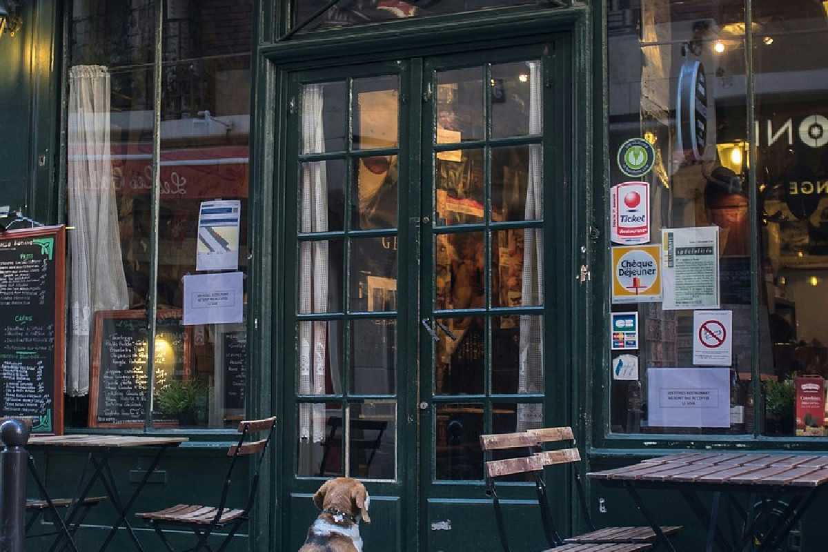 I locali italiani imperdibili nel 2026: 20 mete gastronomiche per palati esigenti e curiosi