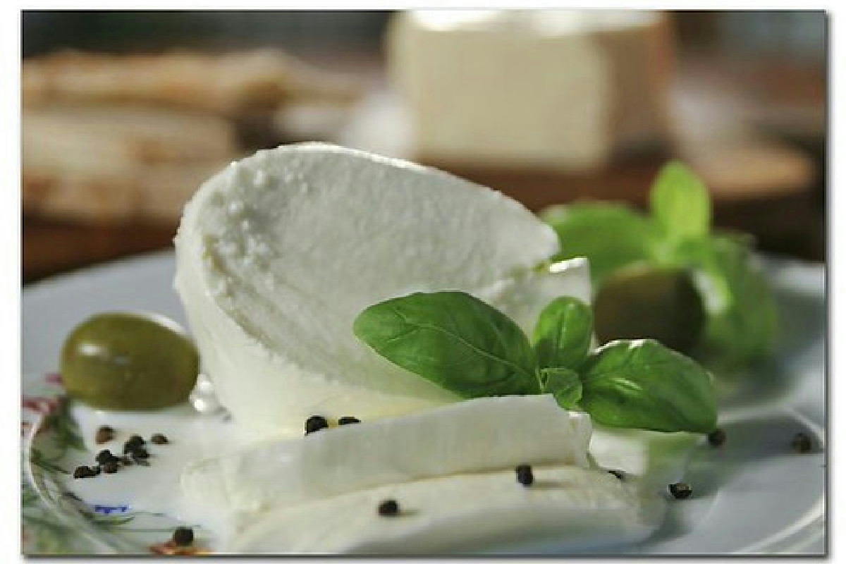 Mozzarella vegana: scopri ingredienti, caratteristiche e dove acquistarla nei negozi specializzati