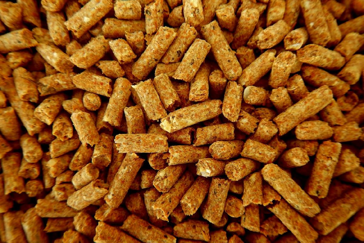 Passaggi chiave per avviare una produzione artigianale di pellet ecologica e indipendente