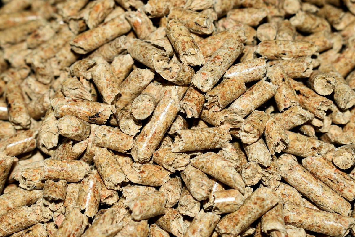 Passaggi chiave per avviare una produzione artigianale di pellet ecologica e indipendente