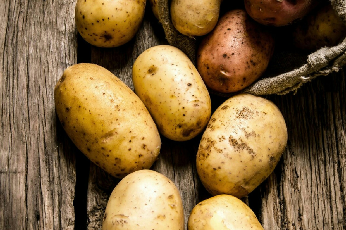 Il tortel di patate trentino: il sapore autentico che riscalda la tavola d'autunno