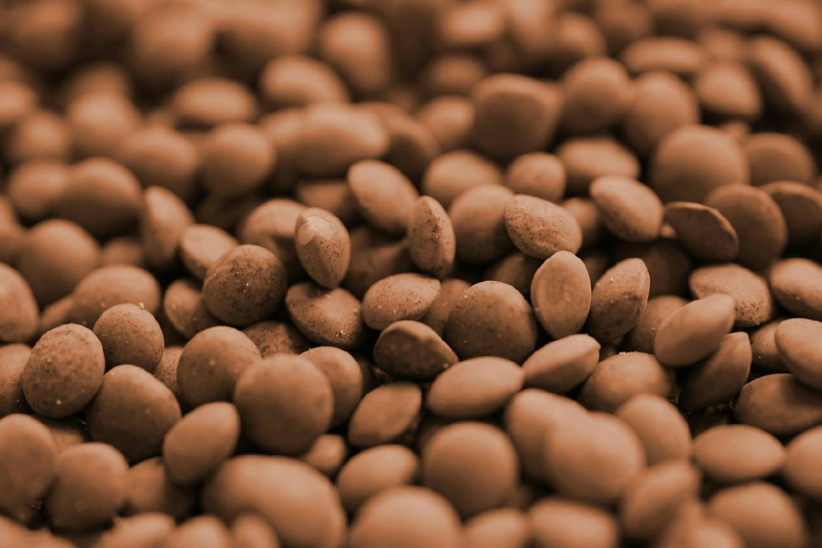 Zuppa calda di lenticchie e cavolo nero: la ricetta perfetta per ogni occasione speciale