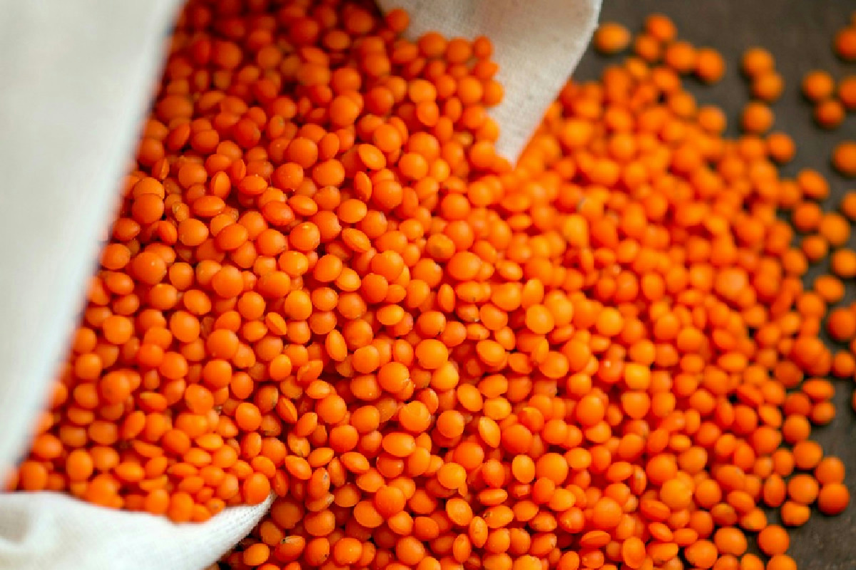 Zuppa calda di lenticchie e cavolo nero: la ricetta perfetta per ogni occasione speciale